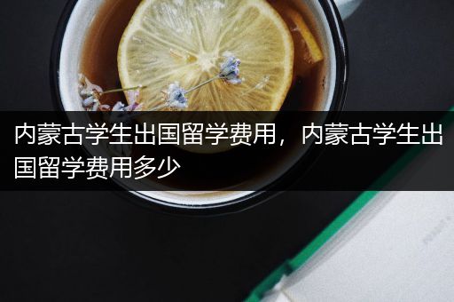 内蒙古学生出国留学费用，内蒙古学生出国留学费用多少