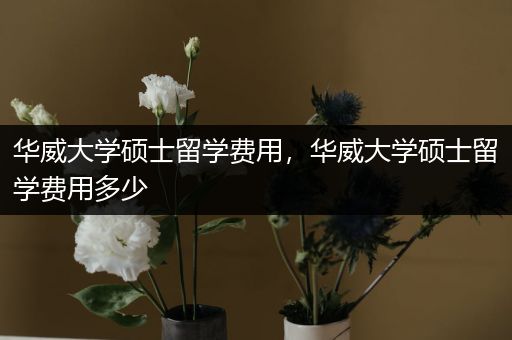 华威大学硕士留学费用，华威大学硕士留学费用多少
