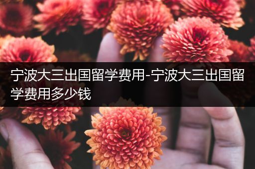 宁波大三出国留学费用-宁波大三出国留学费用多少钱