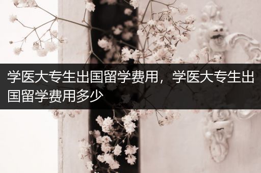 学医大专生出国留学费用，学医大专生出国留学费用多少