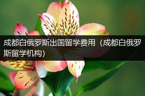 成都白俄罗斯出国留学费用（成都白俄罗斯留学机构）