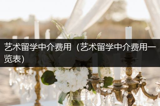 艺术留学中介费用（艺术留学中介费用一览表）