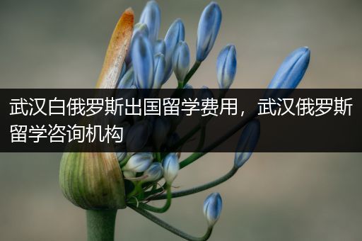 武汉白俄罗斯出国留学费用，武汉俄罗斯留学咨询机构