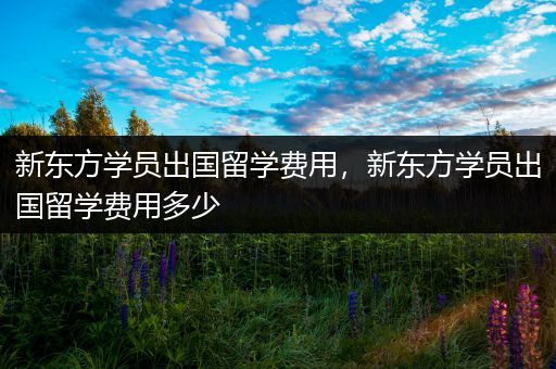 新东方学员出国留学费用，新东方学员出国留学费用多少