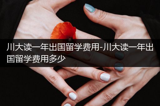 川大读一年出国留学费用-川大读一年出国留学费用多少