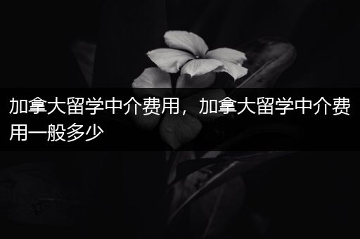 加拿大留学中介费用，加拿大留学中介费用一般多少