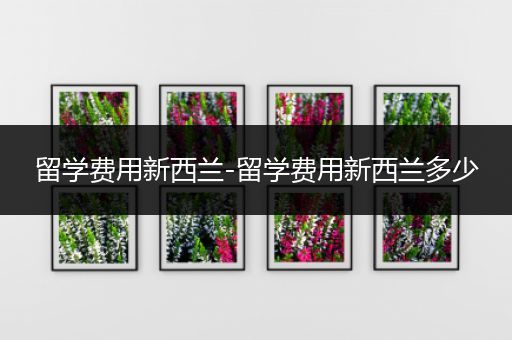 留学费用新西兰-留学费用新西兰多少