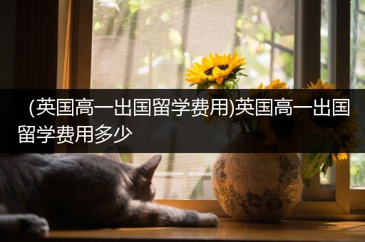 （英国高一出国留学费用)英国高一出国留学费用多少