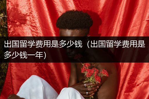 出国留学费用是多少钱（出国留学费用是多少钱一年）