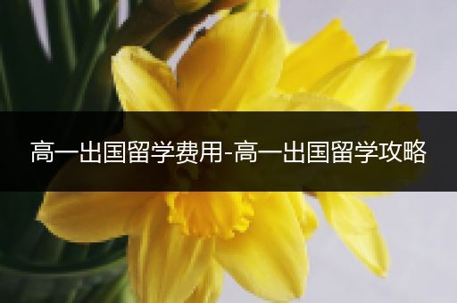 高一出国留学费用-高一出国留学攻略