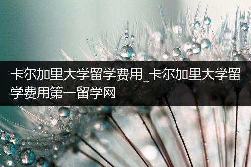 卡尔加里大学留学费用_卡尔加里大学留学费用第一留学网