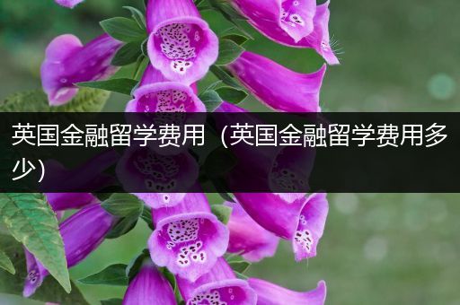 英国金融留学费用（英国金融留学费用多少）