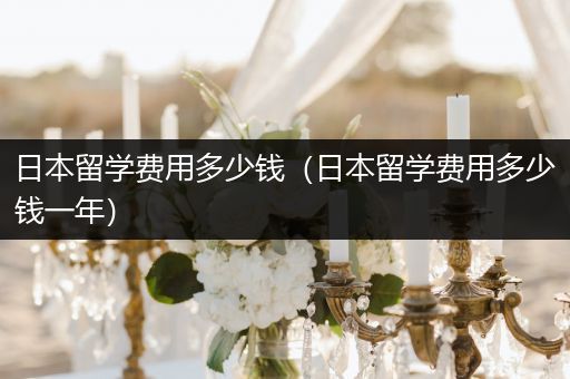 日本留学费用多少钱（日本留学费用多少钱一年）