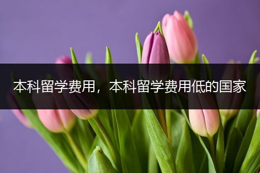 本科留学费用，本科留学费用低的国家
