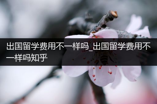 出国留学费用不一样吗_出国留学费用不一样吗知乎
