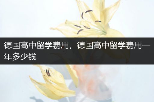 德国高中留学费用，德国高中留学费用一年多少钱