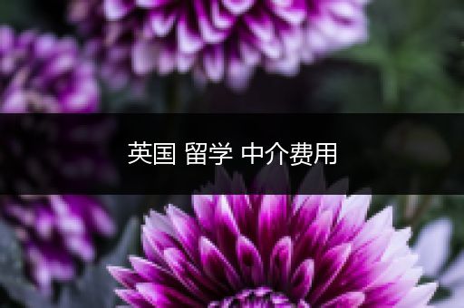 英国 留学 中介费用