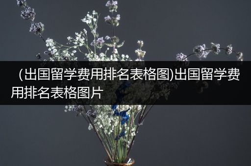 （出国留学费用排名表格图)出国留学费用排名表格图片