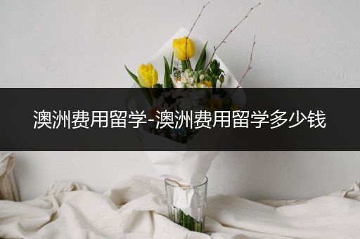 澳洲费用留学-澳洲费用留学多少钱