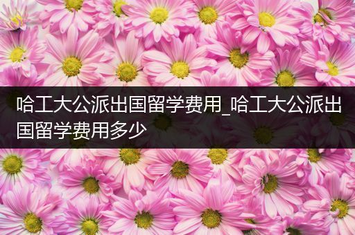 哈工大公派出国留学费用_哈工大公派出国留学费用多少