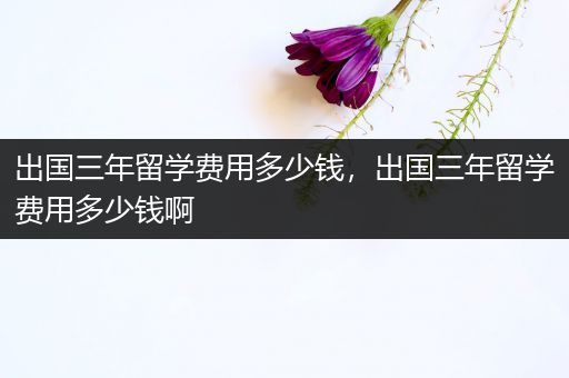 出国三年留学费用多少钱，出国三年留学费用多少钱啊