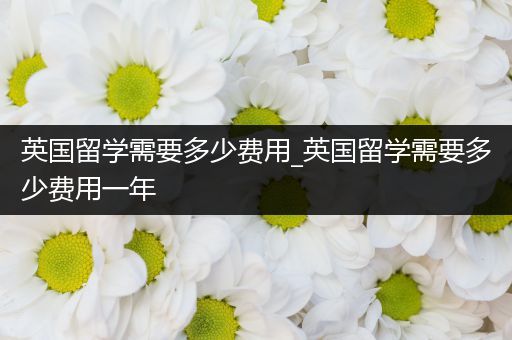 英国留学需要多少费用_英国留学需要多少费用一年