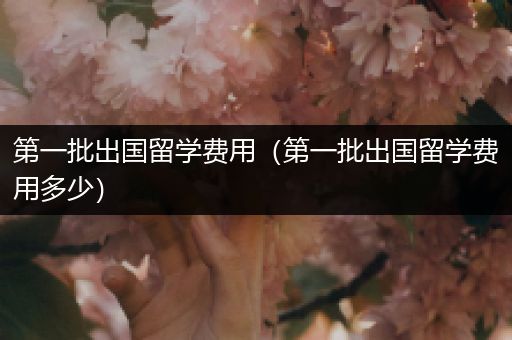 第一批出国留学费用（第一批出国留学费用多少）