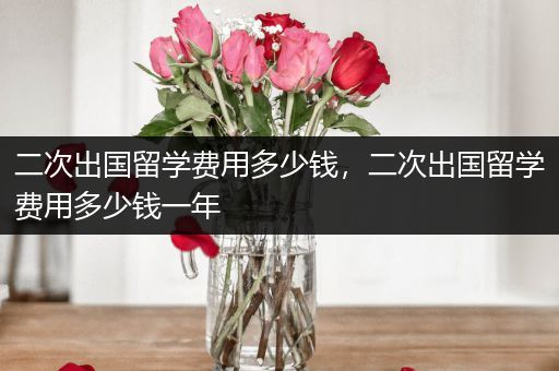 二次出国留学费用多少钱，二次出国留学费用多少钱一年