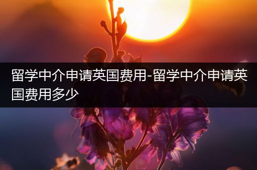 留学中介申请英国费用-留学中介申请英国费用多少