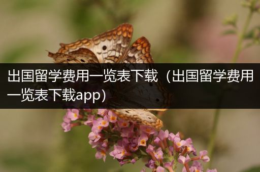出国留学费用一览表下载（出国留学费用一览表下载app）