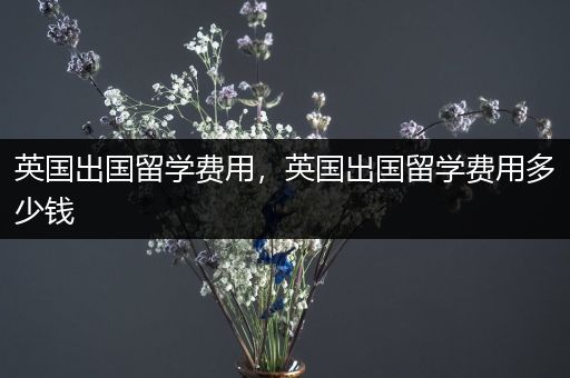 英国出国留学费用，英国出国留学费用多少钱