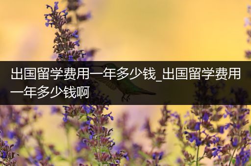 出国留学费用一年多少钱_出国留学费用一年多少钱啊