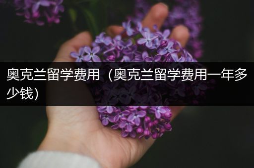 奥克兰留学费用（奥克兰留学费用一年多少钱）
