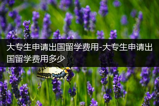 大专生申请出国留学费用-大专生申请出国留学费用多少