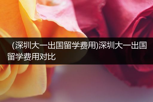 （深圳大一出国留学费用)深圳大一出国留学费用对比
