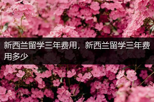 新西兰留学三年费用，新西兰留学三年费用多少