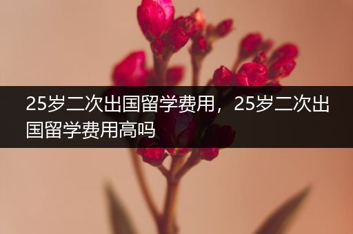 25岁二次出国留学费用，25岁二次出国留学费用高吗