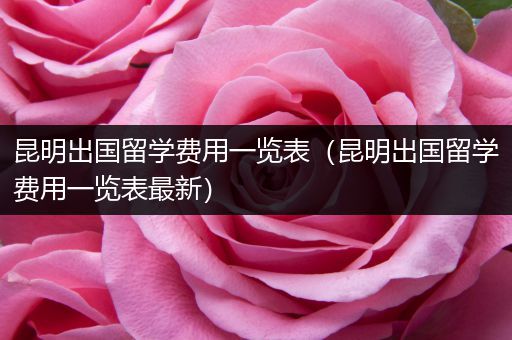 昆明出国留学费用一览表（昆明出国留学费用一览表最新）