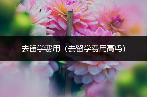 去留学费用（去留学费用高吗）