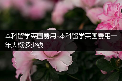 本科留学英国费用-本科留学英国费用一年大概多少钱