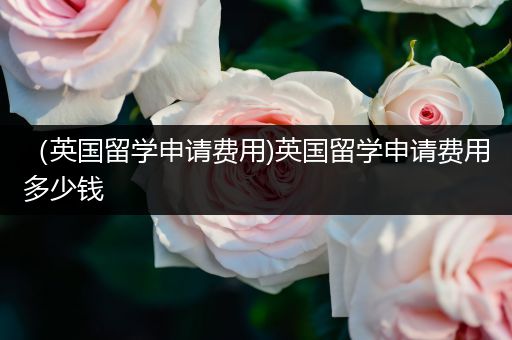 （英国留学申请费用)英国留学申请费用多少钱