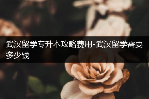 武汉留学专升本攻略费用-武汉留学需要多少钱