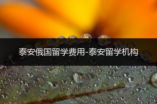 泰安俄国留学费用-泰安留学机构