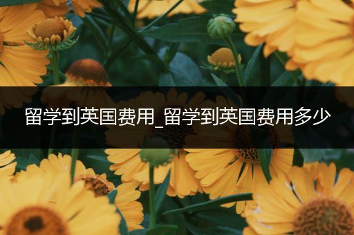 留学到英国费用_留学到英国费用多少