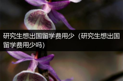 研究生想出国留学费用少（研究生想出国留学费用少吗）