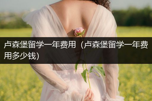 卢森堡留学一年费用（卢森堡留学一年费用多少钱）
