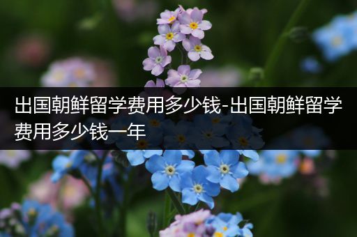 出国朝鲜留学费用多少钱-出国朝鲜留学费用多少钱一年