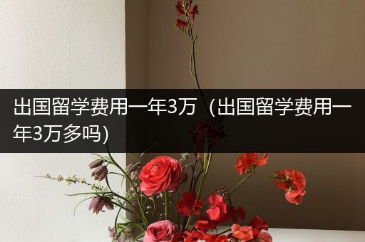 出国留学费用一年3万（出国留学费用一年3万多吗）