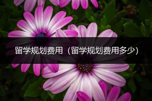 留学规划费用（留学规划费用多少）