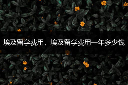 埃及留学费用，埃及留学费用一年多少钱